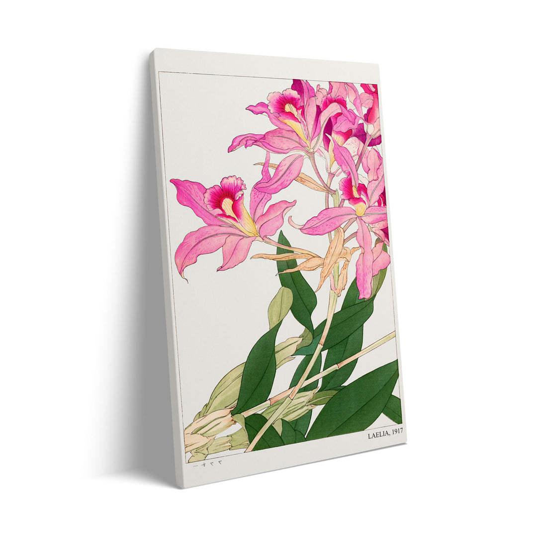 laelia-1917-tanigami-konam canvas art - Shop art for home decor