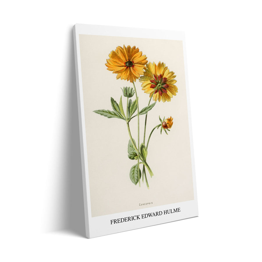 Unique coreopsis-frederick-edward-hulme- Beautiful framed art print available at Raremango