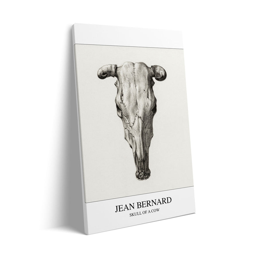 Unique skull-of-a-cow-seen-from-above-jean-bernard- Beautiful framed art print available at Raremango