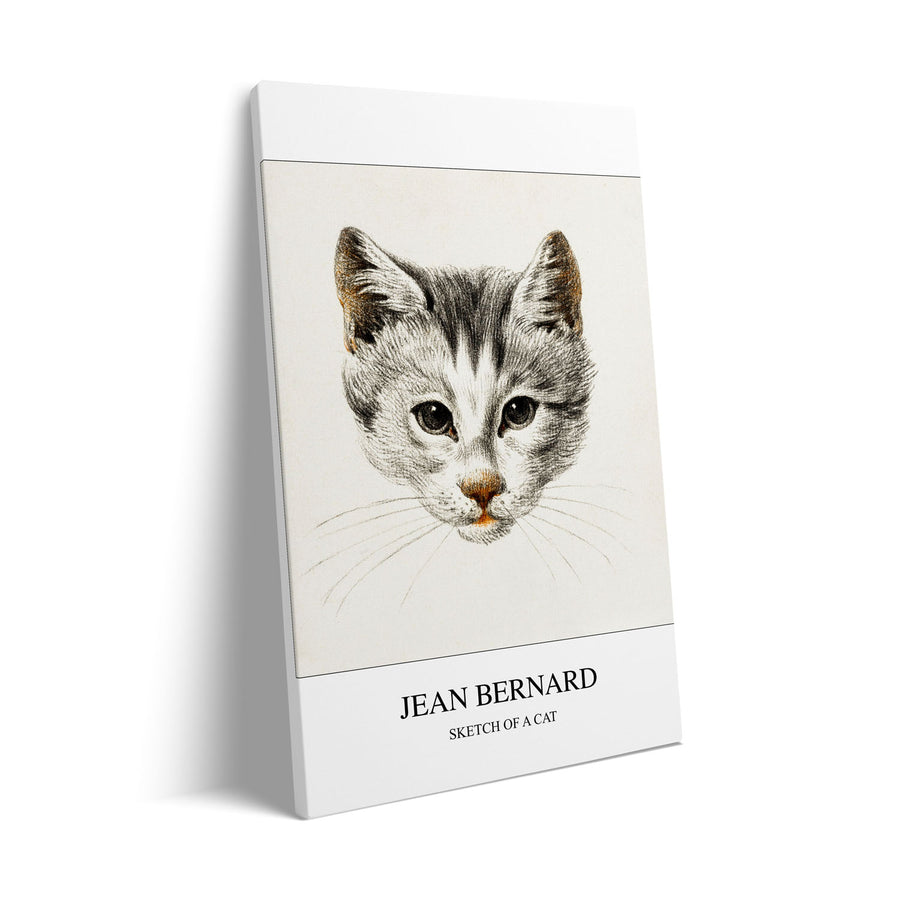 Unique sketch-of-a-cat-jean-bernard- Beautiful framed art print available at Raremango