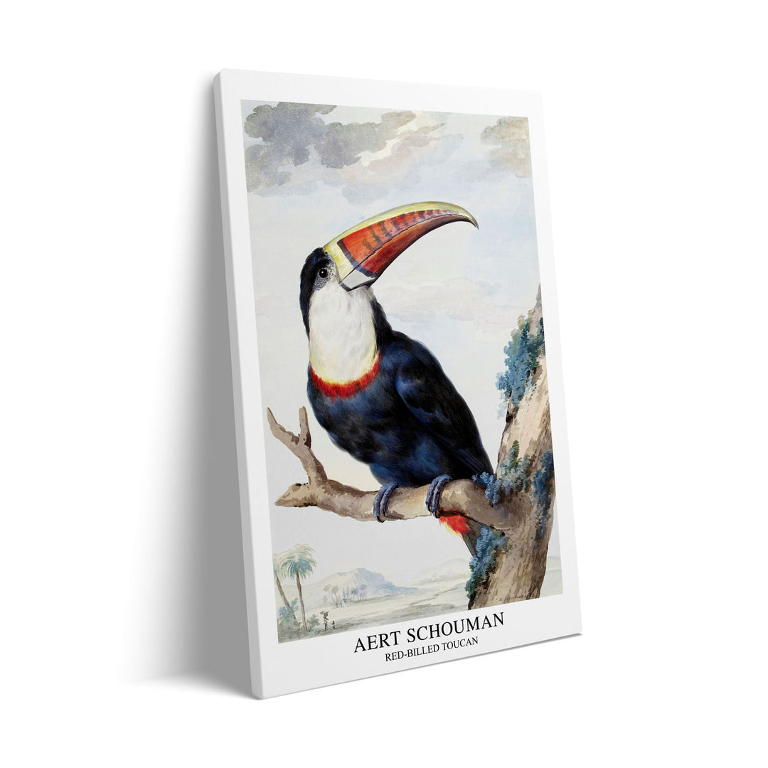 Unique red-billed-toucan-1748-aert-schouman- Beautiful framed art print available at Raremango