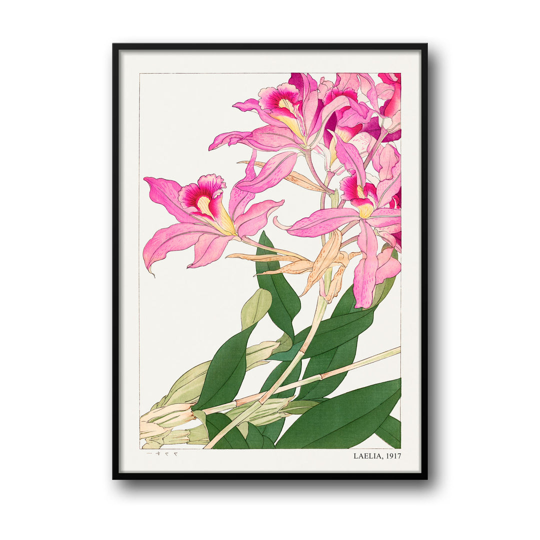 laelia-1917-tanigami-konam canvas art - Shop art for home decor