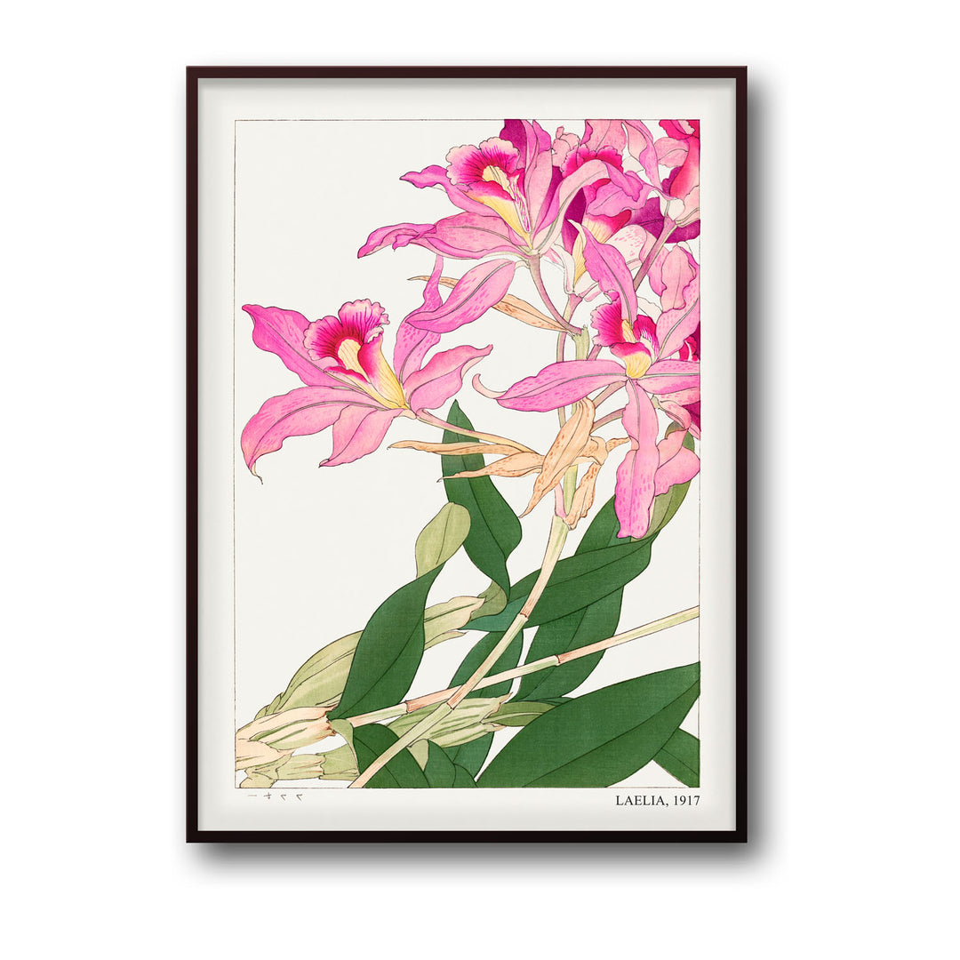 laelia-1917-tanigami-konam canvas art - Shop art for home decor