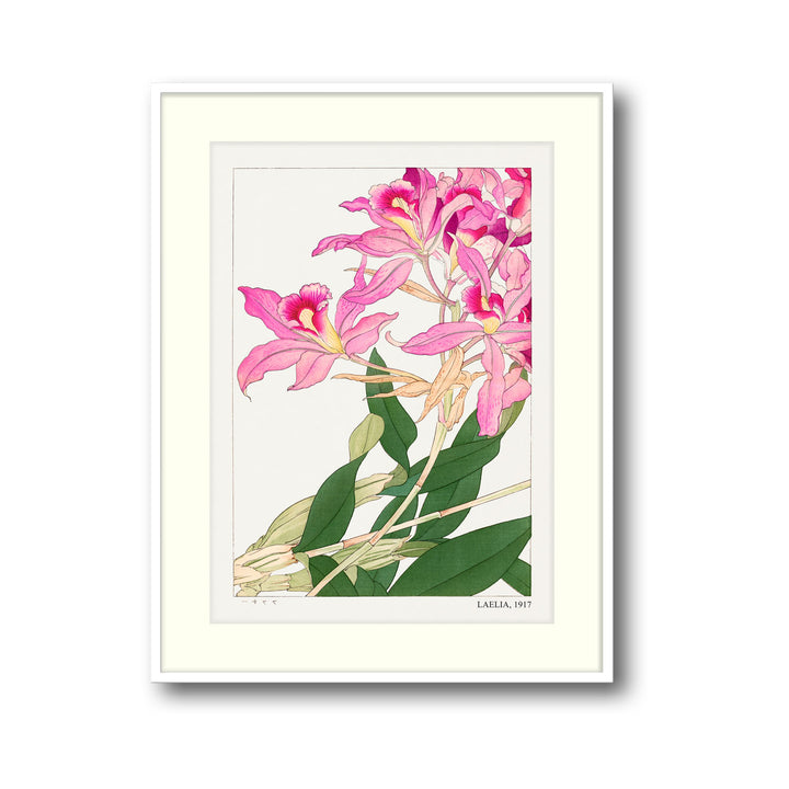 laelia-1917-tanigami-konam canvas art - Shop art for home decor