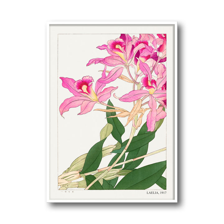 laelia-1917-tanigami-konam canvas art - Shop art for home decor