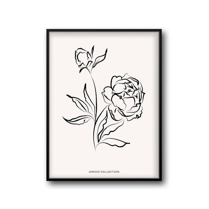 pivoines art print - High-quality canvas print from Raremango