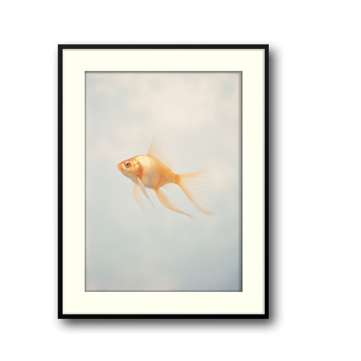 goldfish canvas art - Shop art for home decor