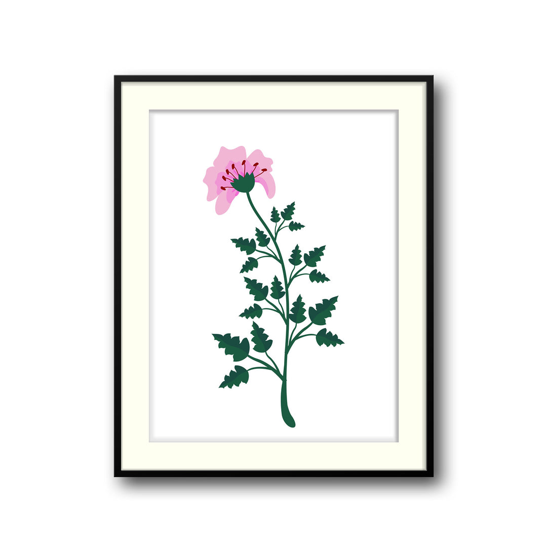 petal-serenity-b  Elegant framed art print in a beautiful frame