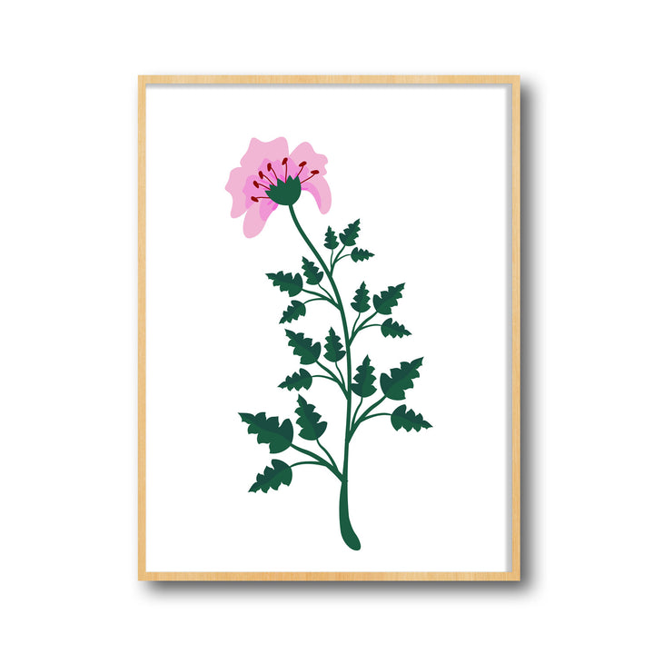 petal-serenity-b  Elegant framed art print in a beautiful frame