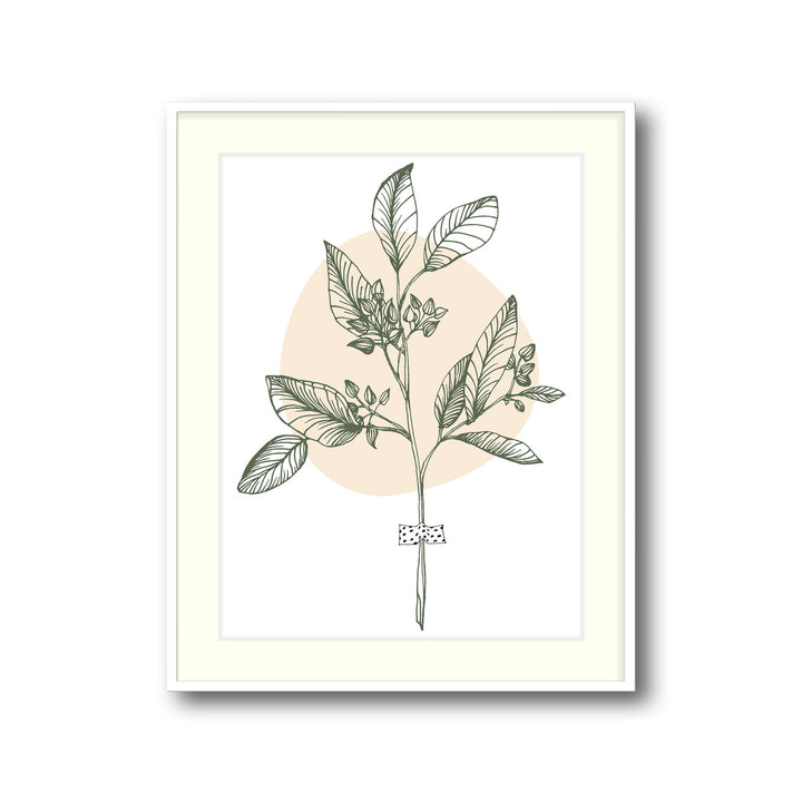 botanical-melody-a  Elegant framed art print in a beautiful frame