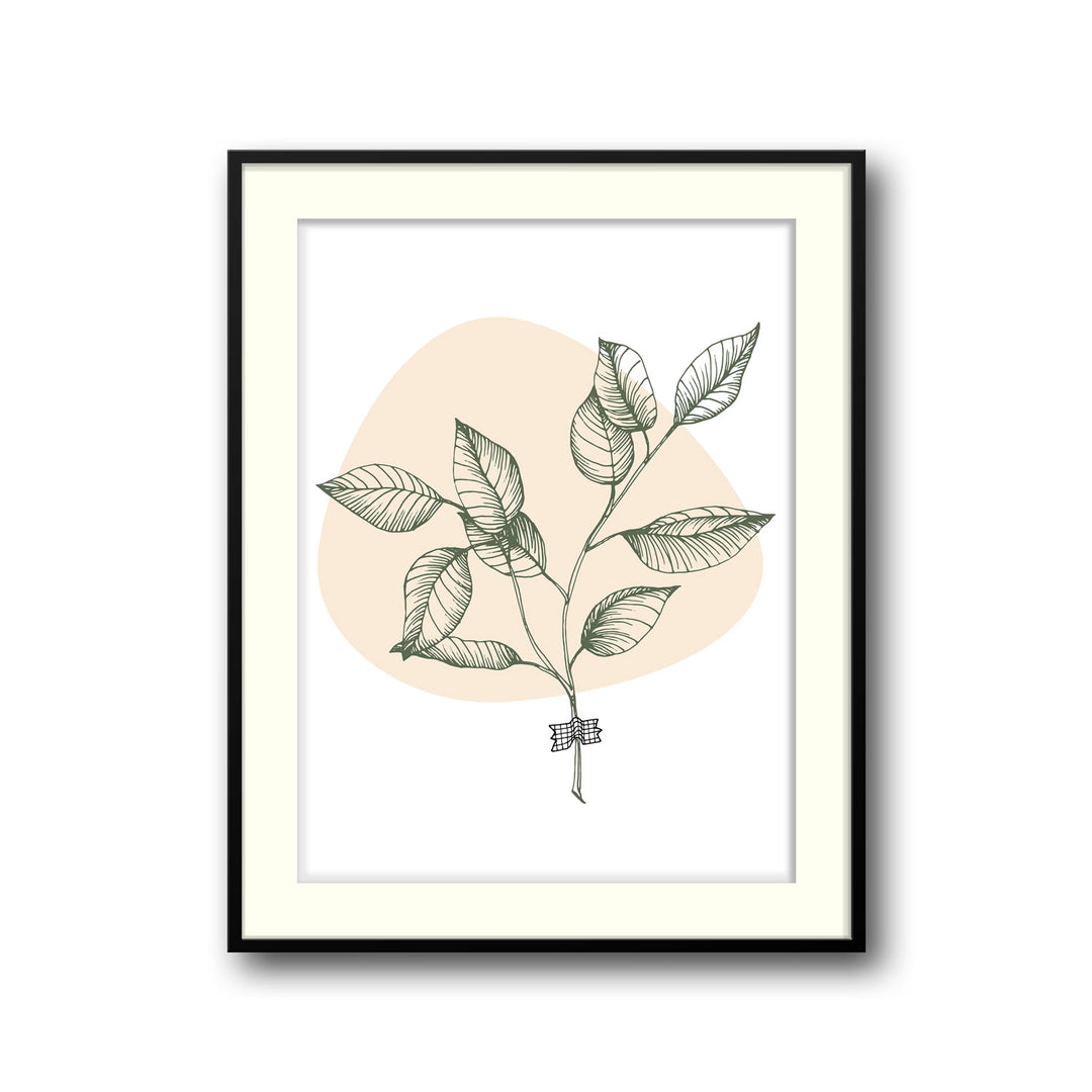 botanical-melody-b  Elegant framed art print in a beautiful frame