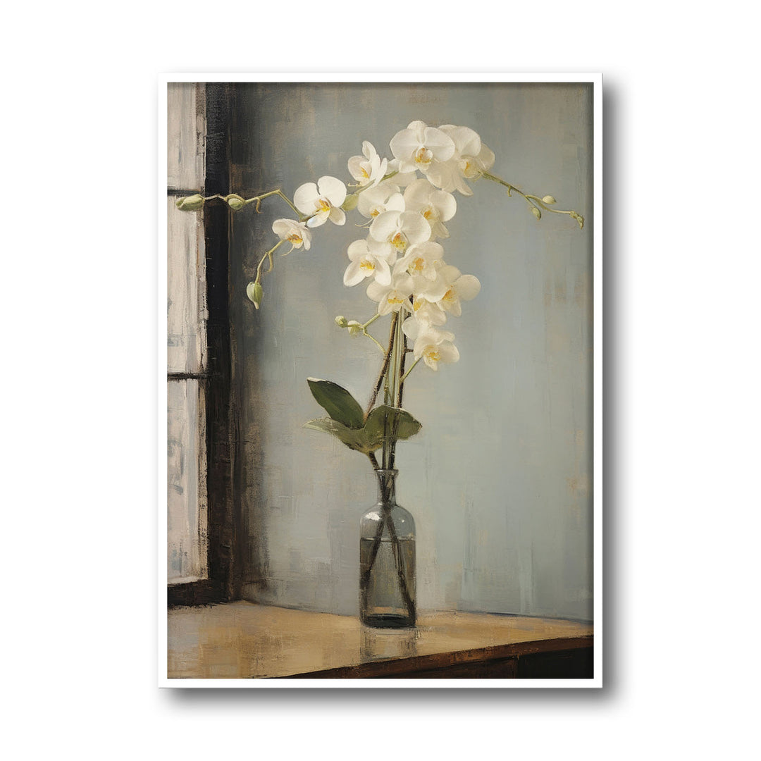 Unique orchids- Beautiful framed art print available at Raremango