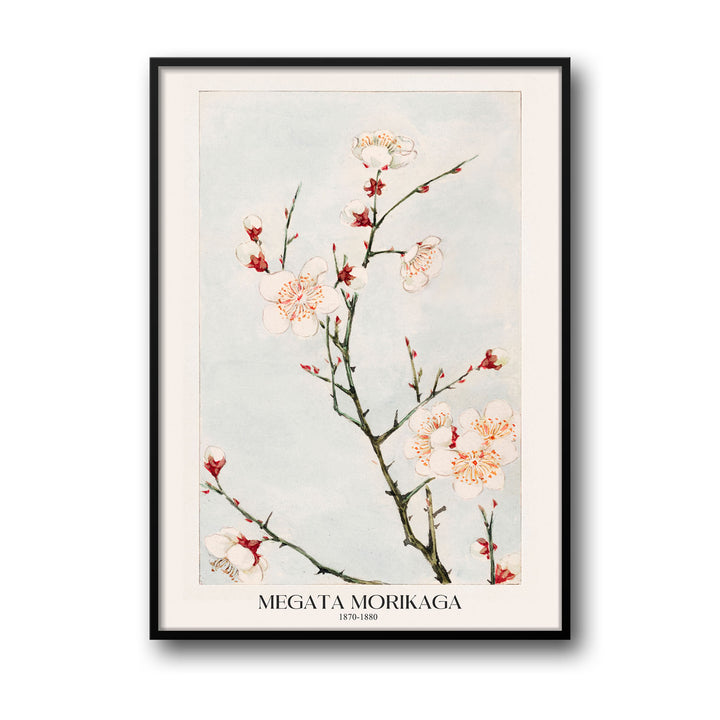 plum-branches-megata-morikaga canvas art - Shop art for home decor