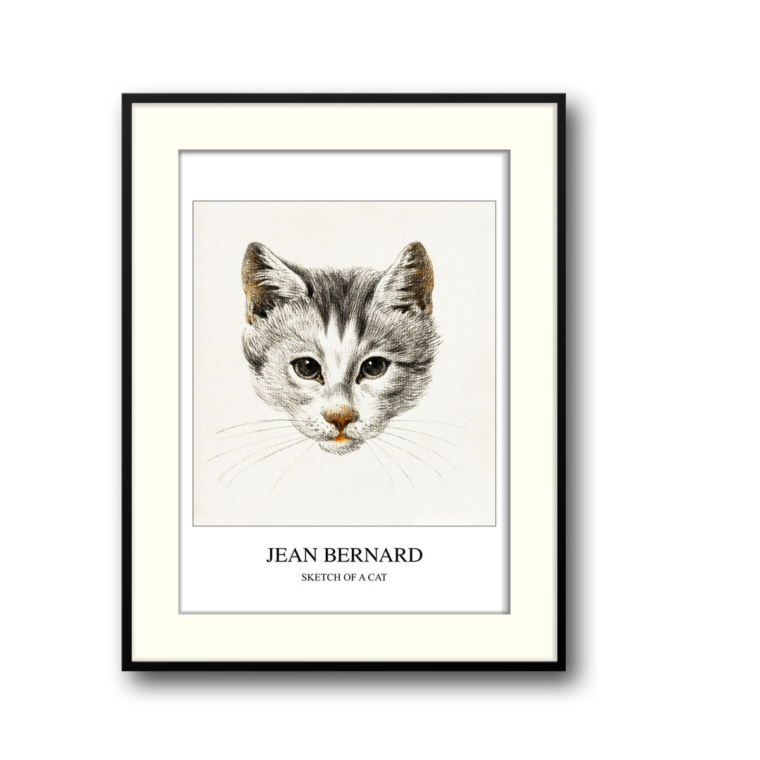 Unique sketch-of-a-cat-jean-bernard- Beautiful framed art print available at Raremango