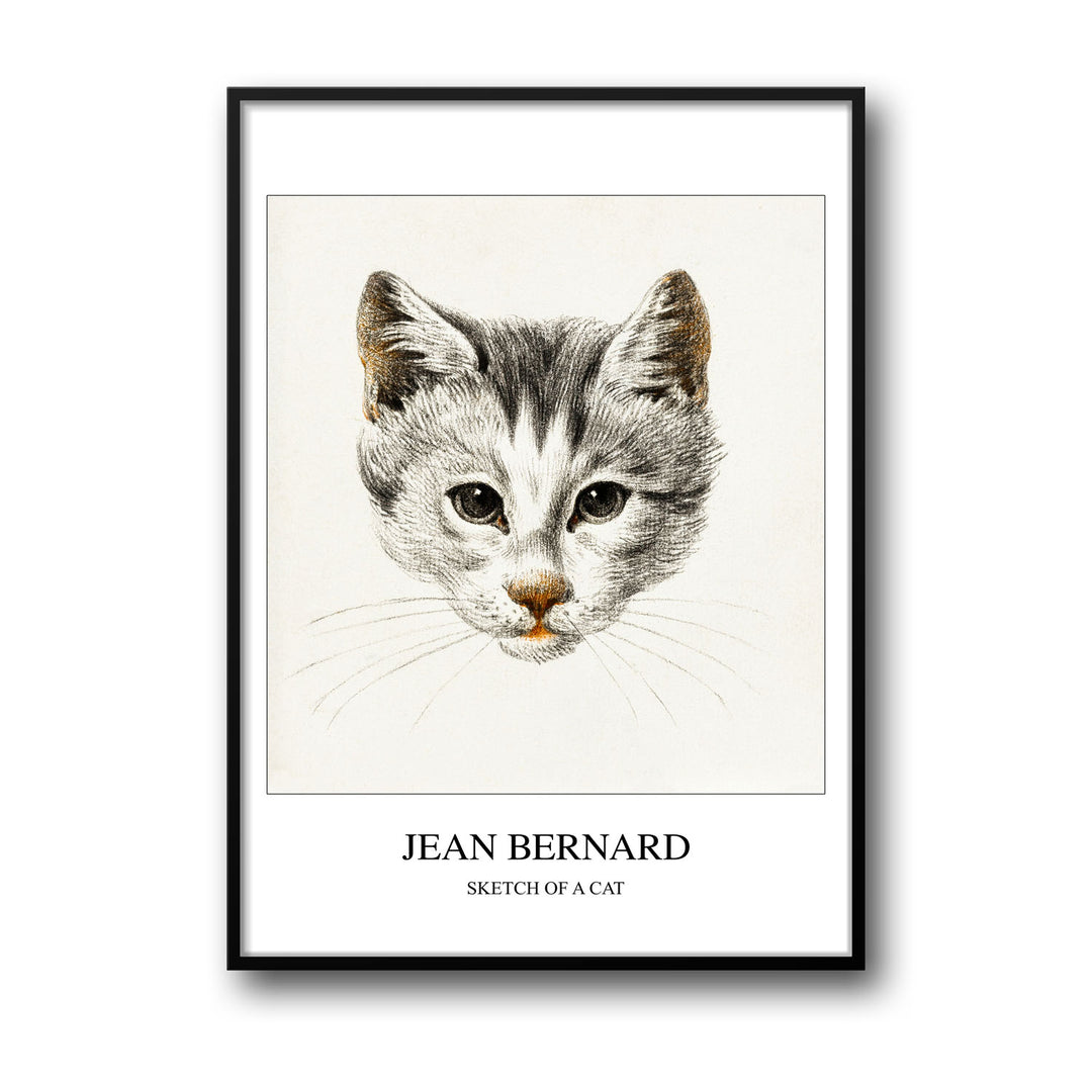 Unique sketch-of-a-cat-jean-bernard- Beautiful framed art print available at Raremango