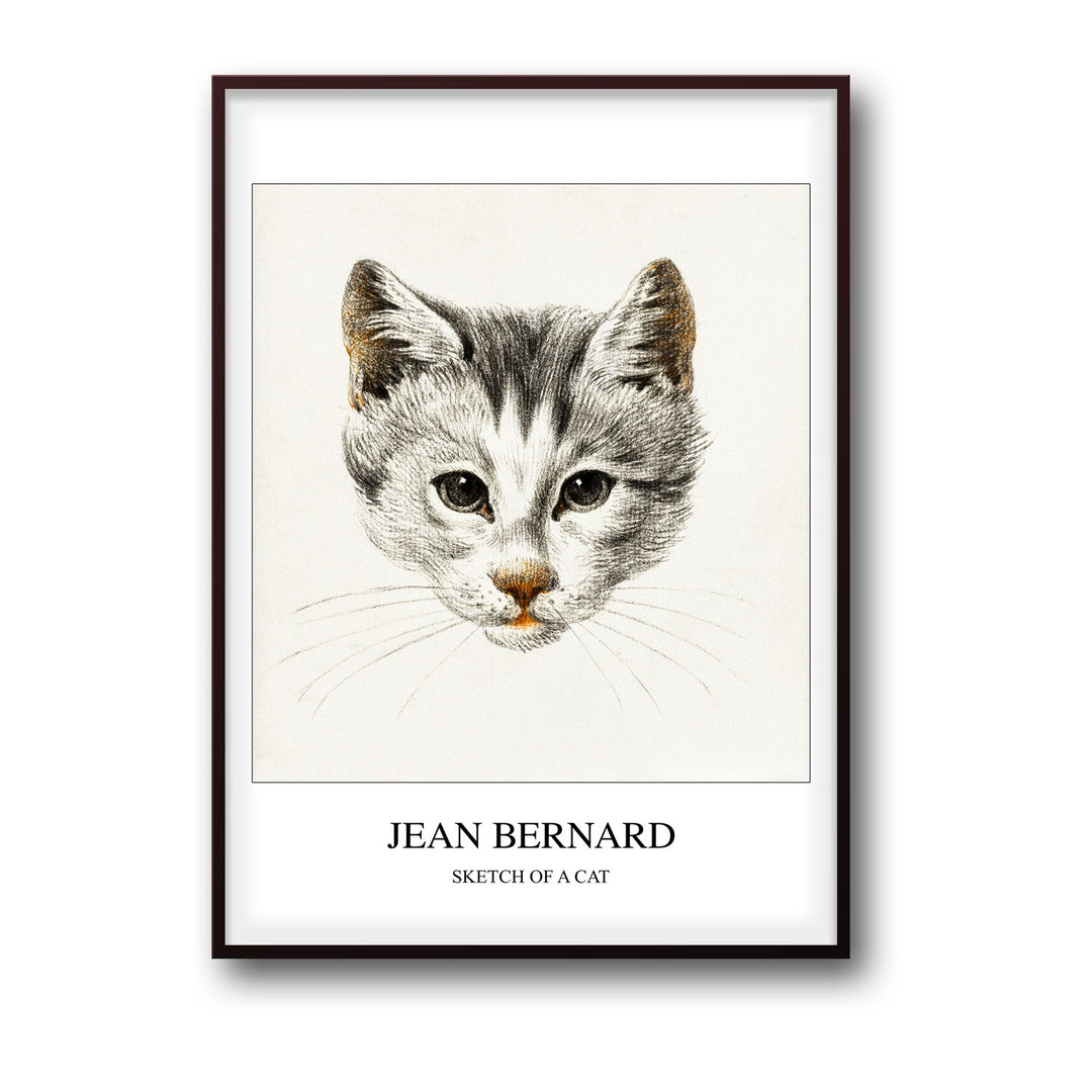 Unique sketch-of-a-cat-jean-bernard- Beautiful framed art print available at Raremango