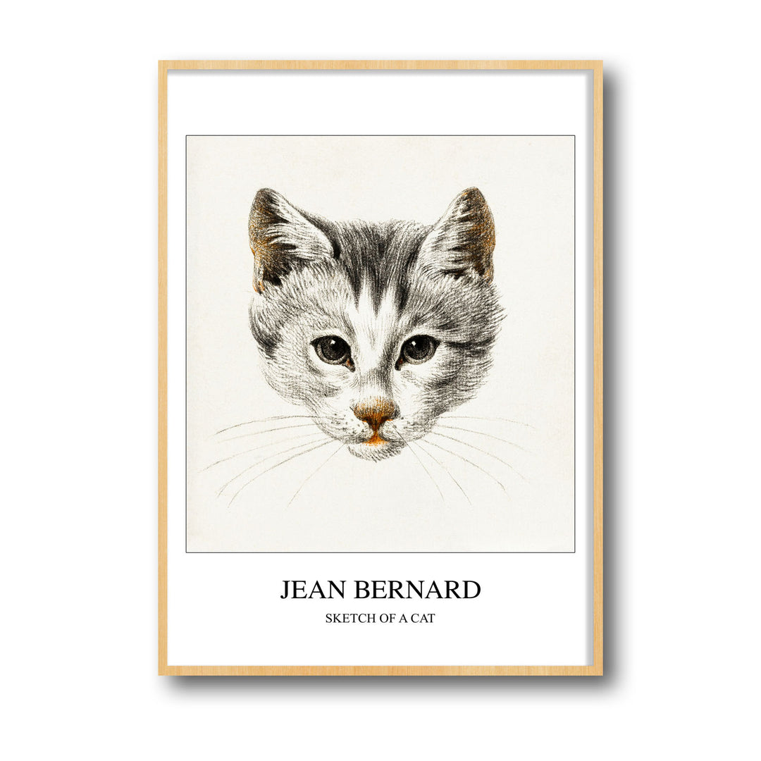 Unique sketch-of-a-cat-jean-bernard- Beautiful framed art print available at Raremango