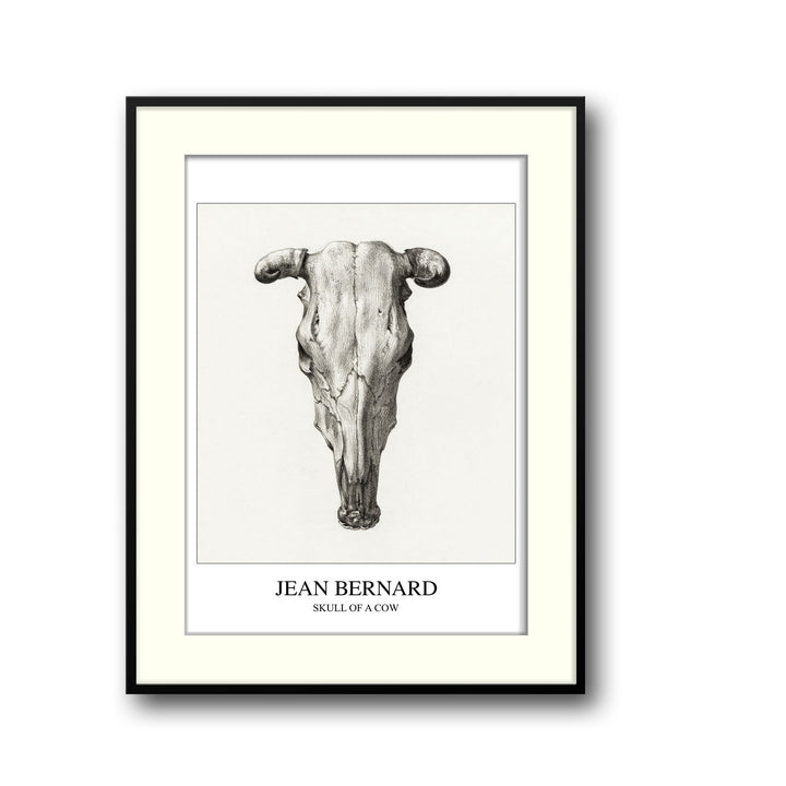 Unique skull-of-a-cow-seen-from-above-jean-bernard- Beautiful framed art print available at Raremango