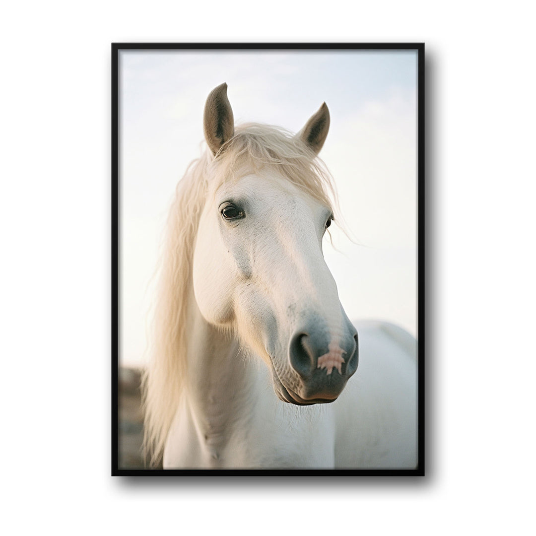 Unique white-horse- Beautiful framed art print available at Raremango