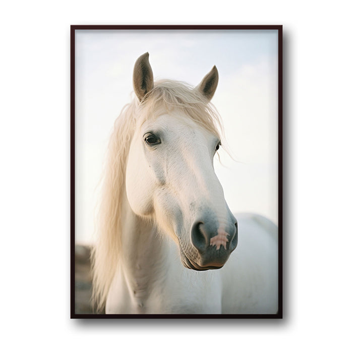 Unique white-horse- Beautiful framed art print available at Raremango