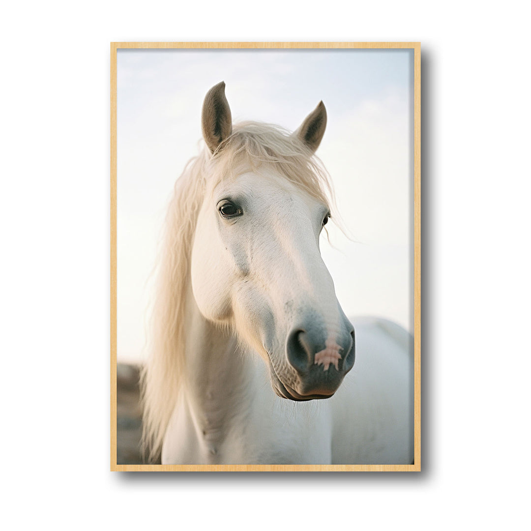 Unique white-horse- Beautiful framed art print available at Raremango