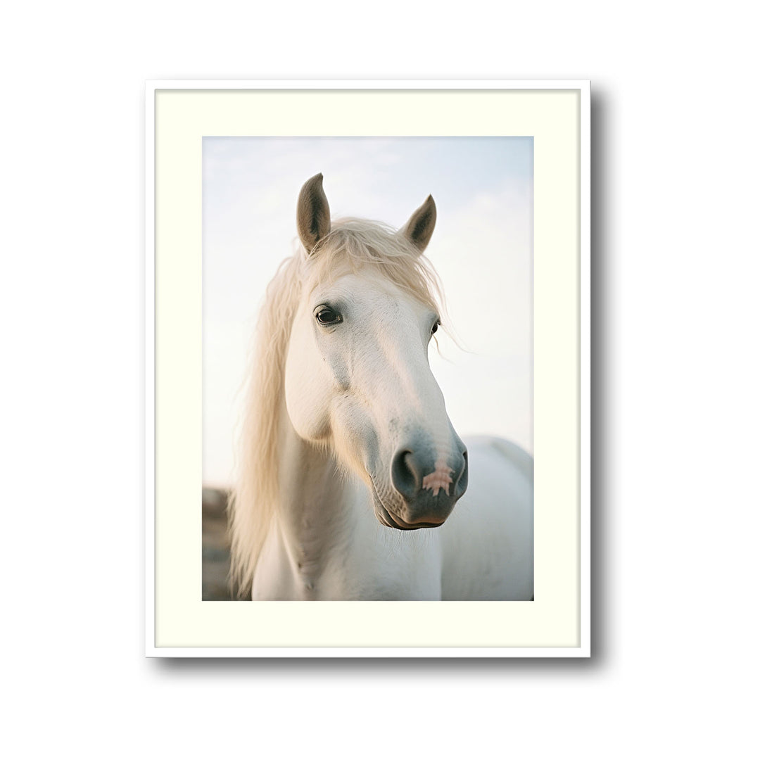 Unique white-horse- Beautiful framed art print available at Raremango