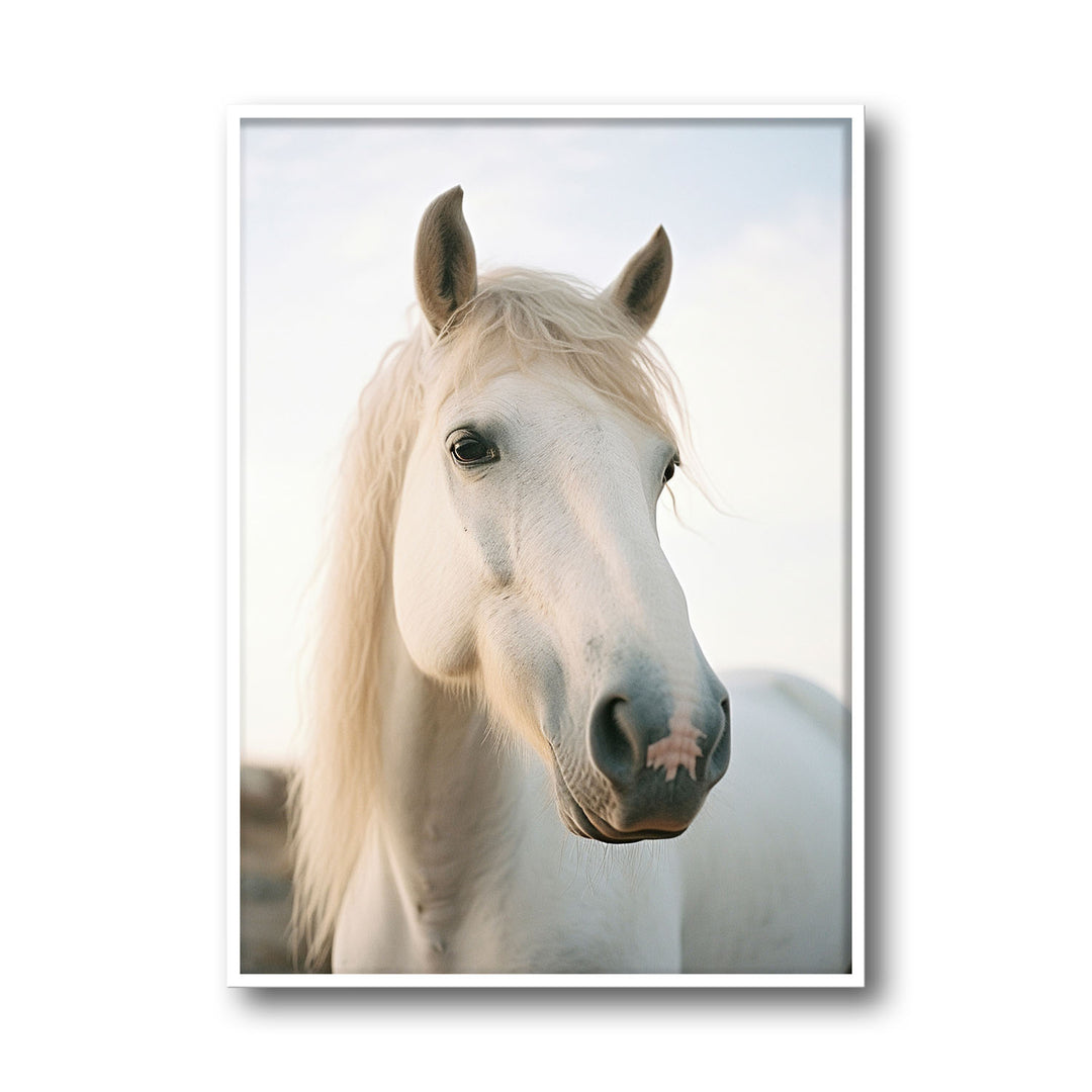 Unique white-horse- Beautiful framed art print available at Raremango