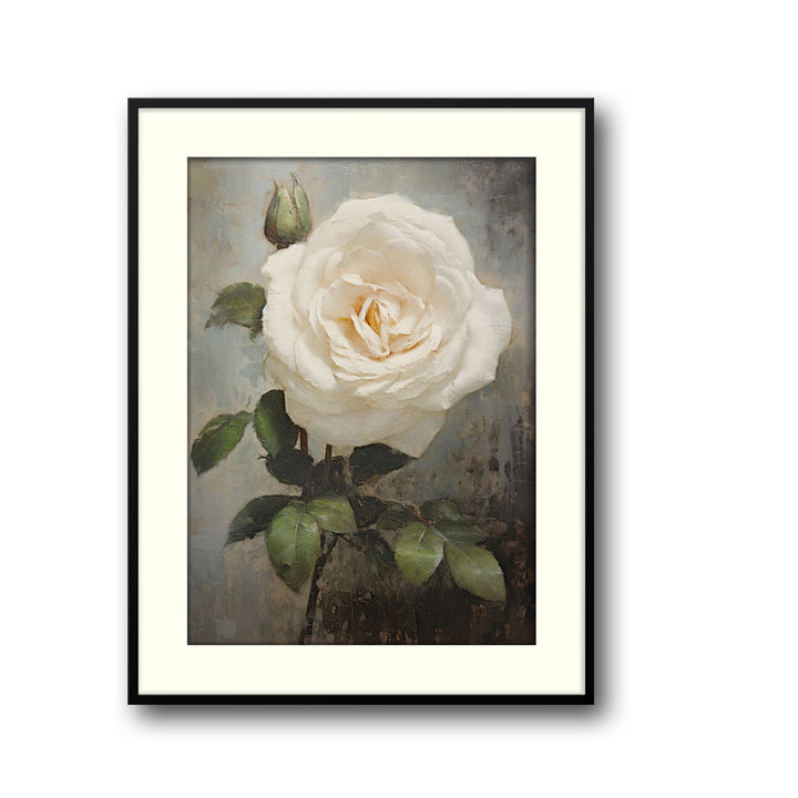 Unique white-rose- Beautiful framed art print available at Raremango