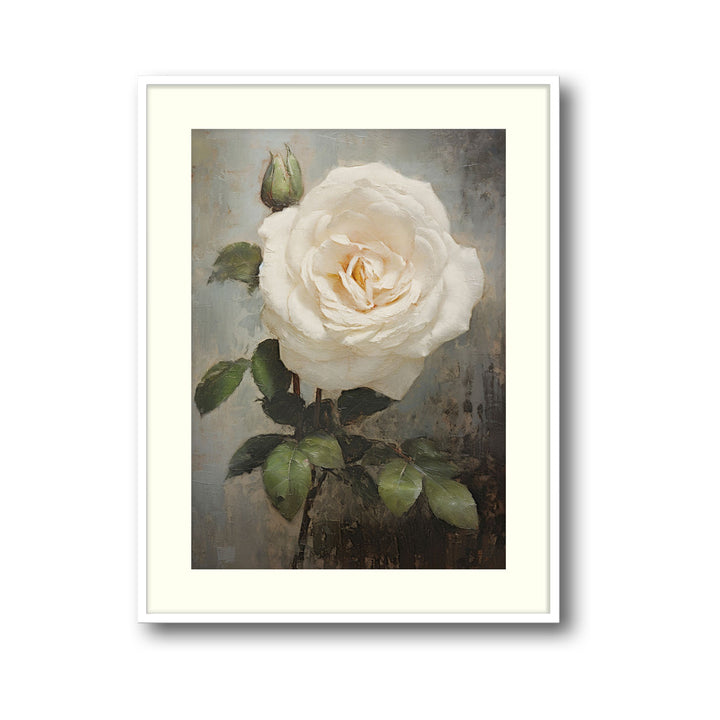 Unique white-rose- Beautiful framed art print available at Raremango